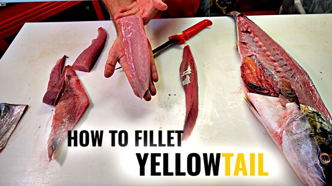 How to Fillet Yellowtail | Tommy Gomes