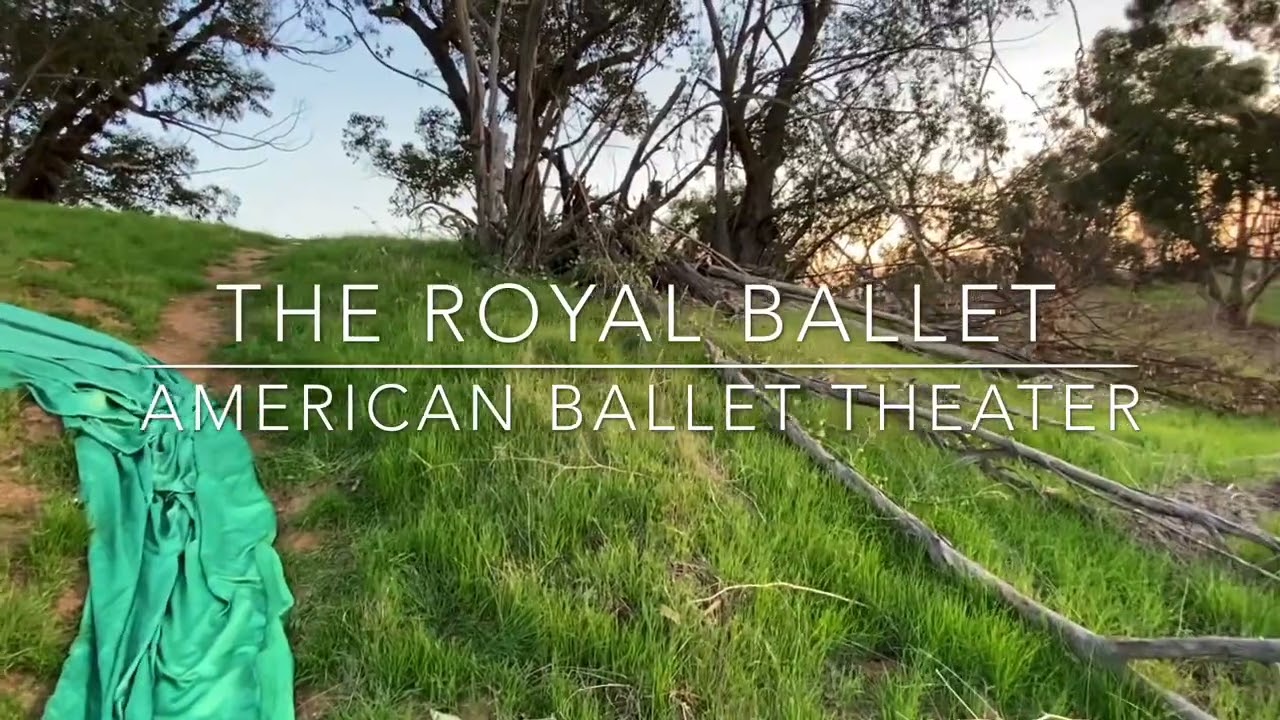 🫵🏼Get The Best Pro Ballet Secrets That No One Will Ever Tell You.🩰👑