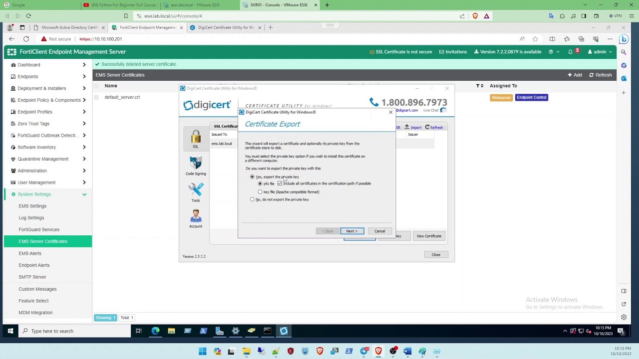 Securing Your Website with a Self-Signed Certificate: Using Windows Server and DigiCert Utility Tool