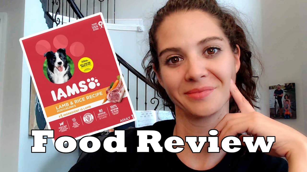 Обзор корма для собак Iams Adult Lamb and Rice
