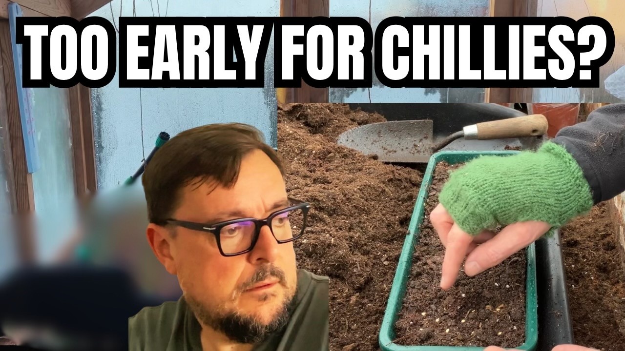 Too Early for Chillies? I’m Testing It Anyway 🌶️