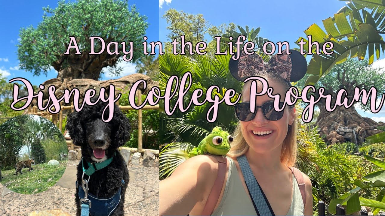 What It's Really Like on the Disney College Program ✨Disney College Program 2025✨