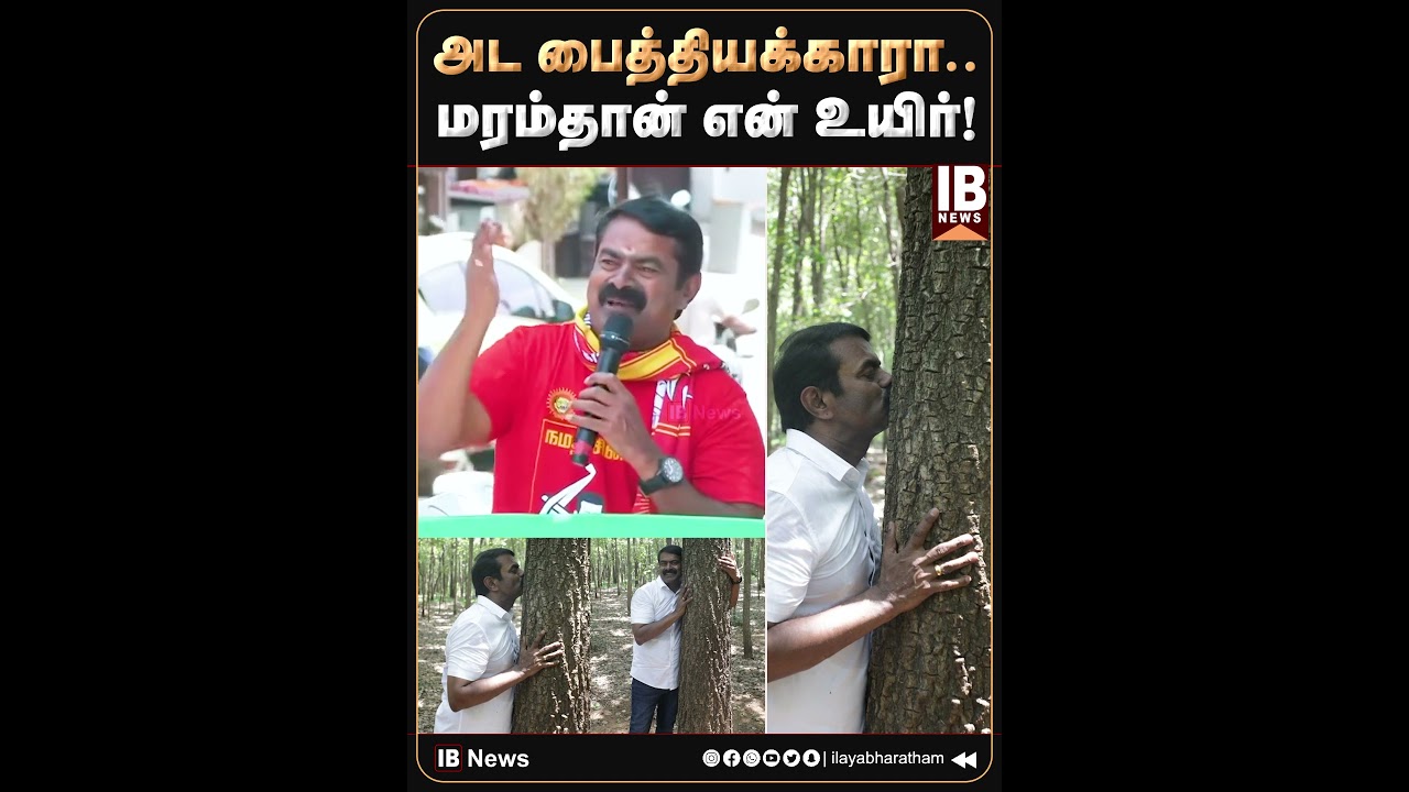 அட பைத்தியக்காரா.. மரம்தான் என் உயிர்! வைரலாகும் சீமான் பேசிய காணொளி! | Seeman | NTK | 2026Election