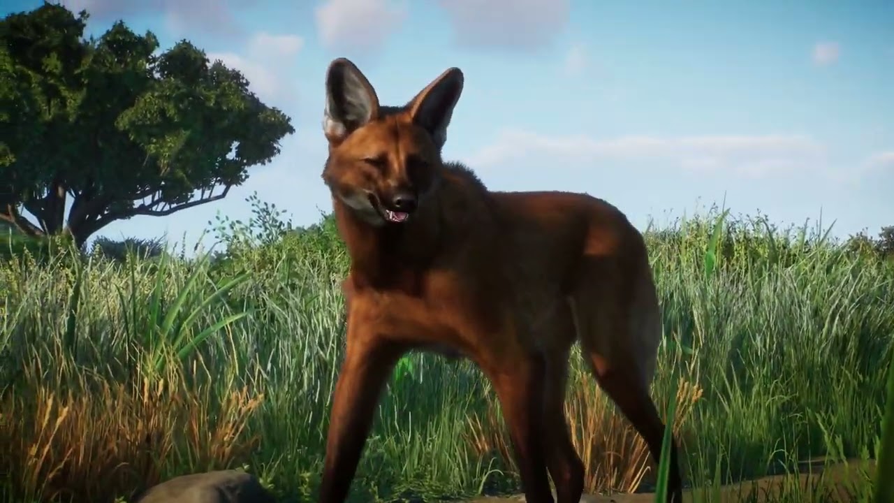 Planet Zoo: Grasslands Animal Pack - Announcement Trailer