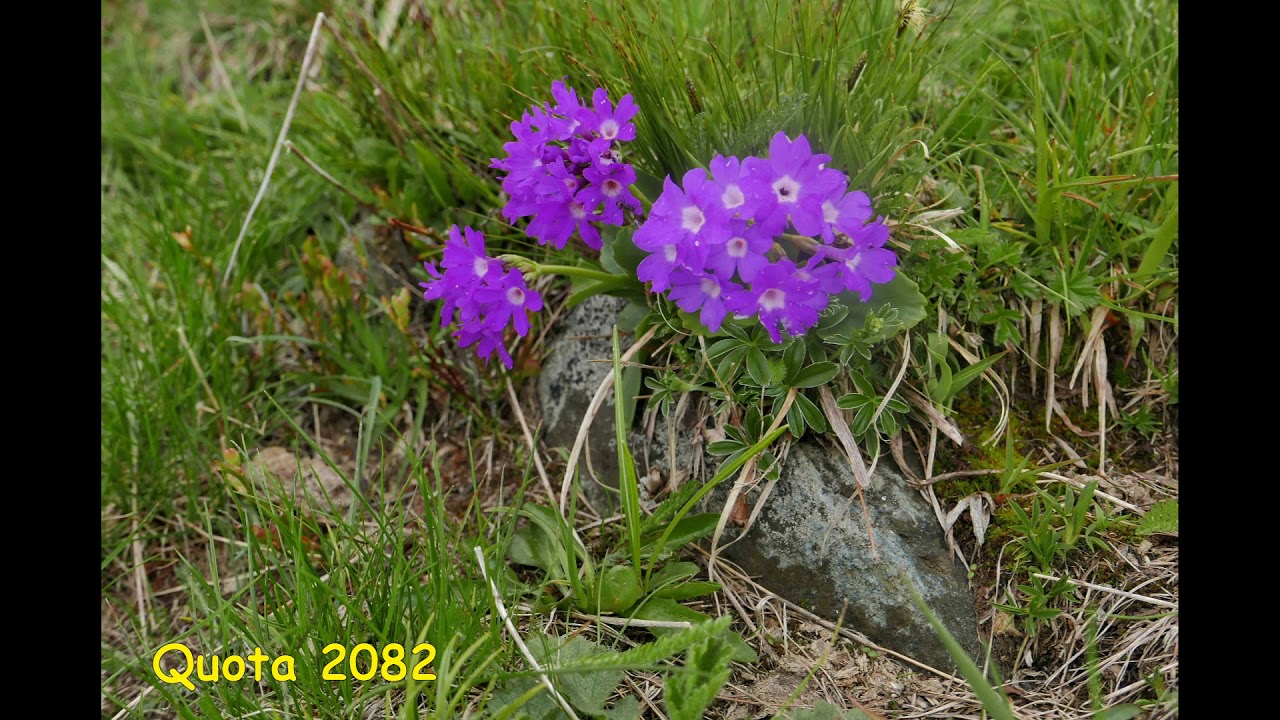 COLLOMBARDO in mountain bike 1920x1080