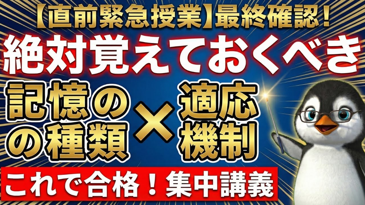 【介護福祉士国試直前対策】20分で「記憶の種類と適応機制」を完全攻略【聞き流し】