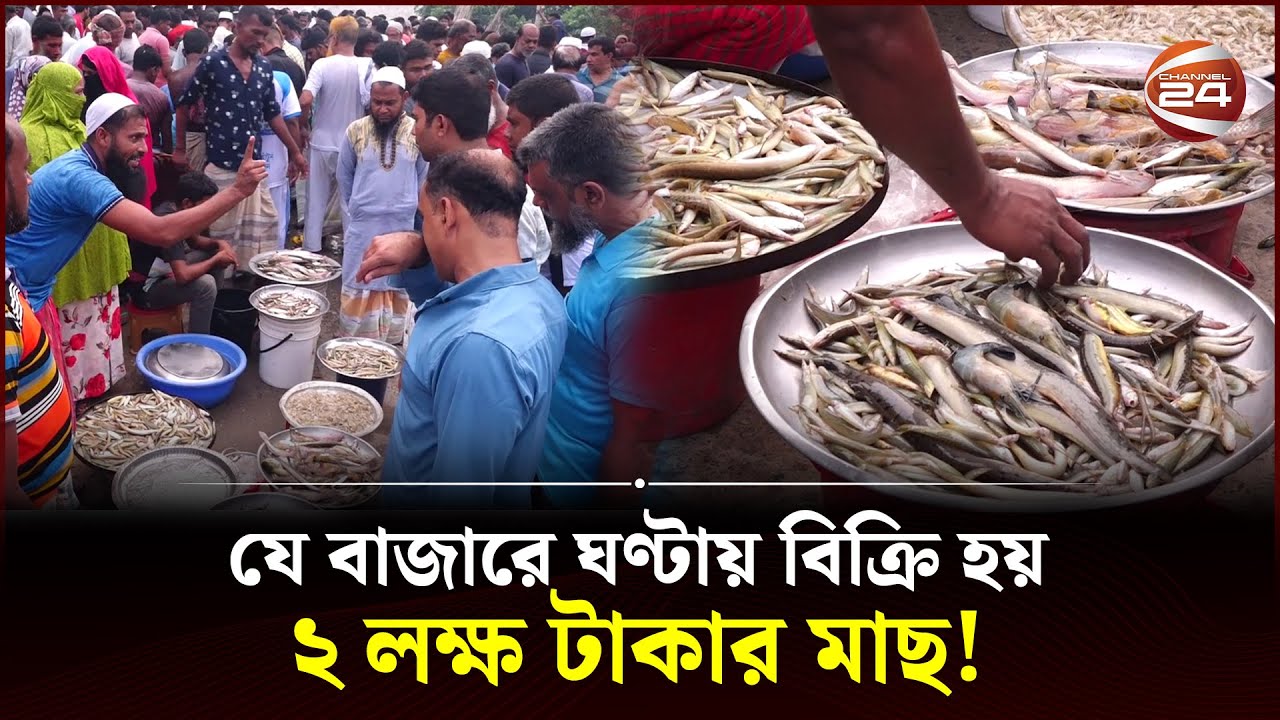 ঘণ্টায় প্রায় ২ লক্ষ টাকার মাছ বিক্রি হয় যে বাজারে | Sirajganj News | 1 hour fish market | Channel 24