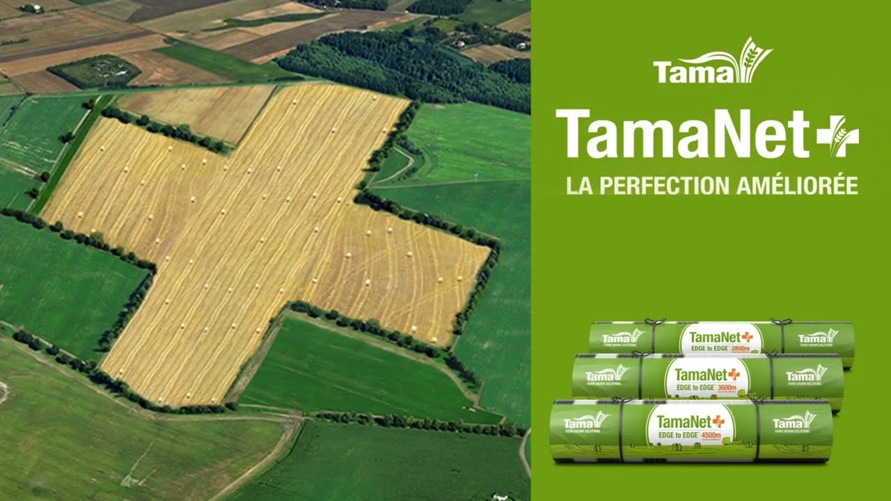 TamaNet+