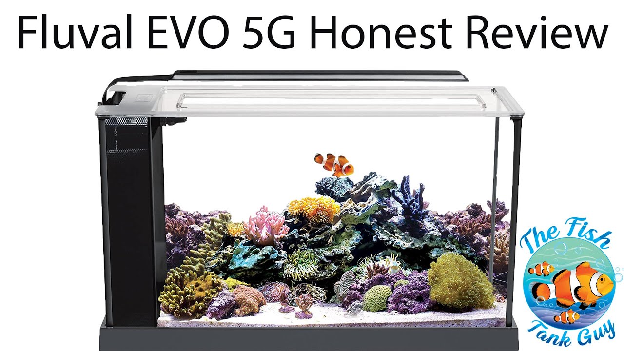 Fluval EVO 5G Honest / In-Depth Review!