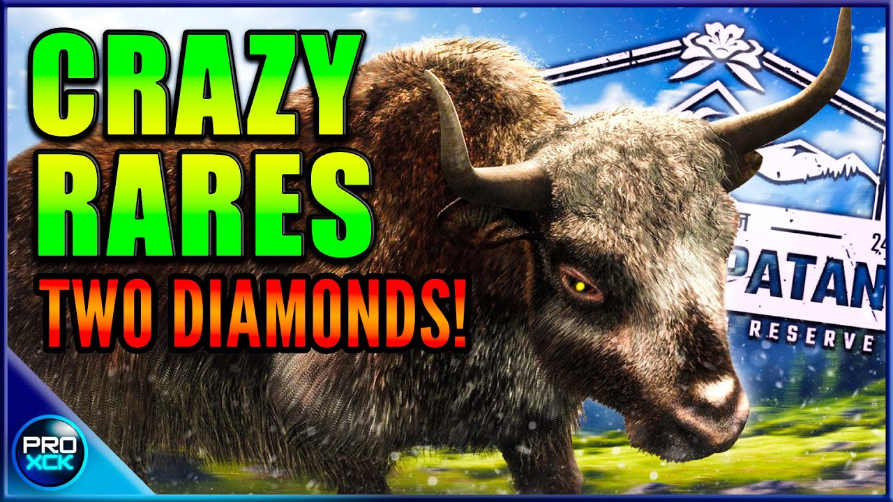 These New RARES Look Insane! | Several Trophies on Sundarpatan! - theHunter Call of the Wild