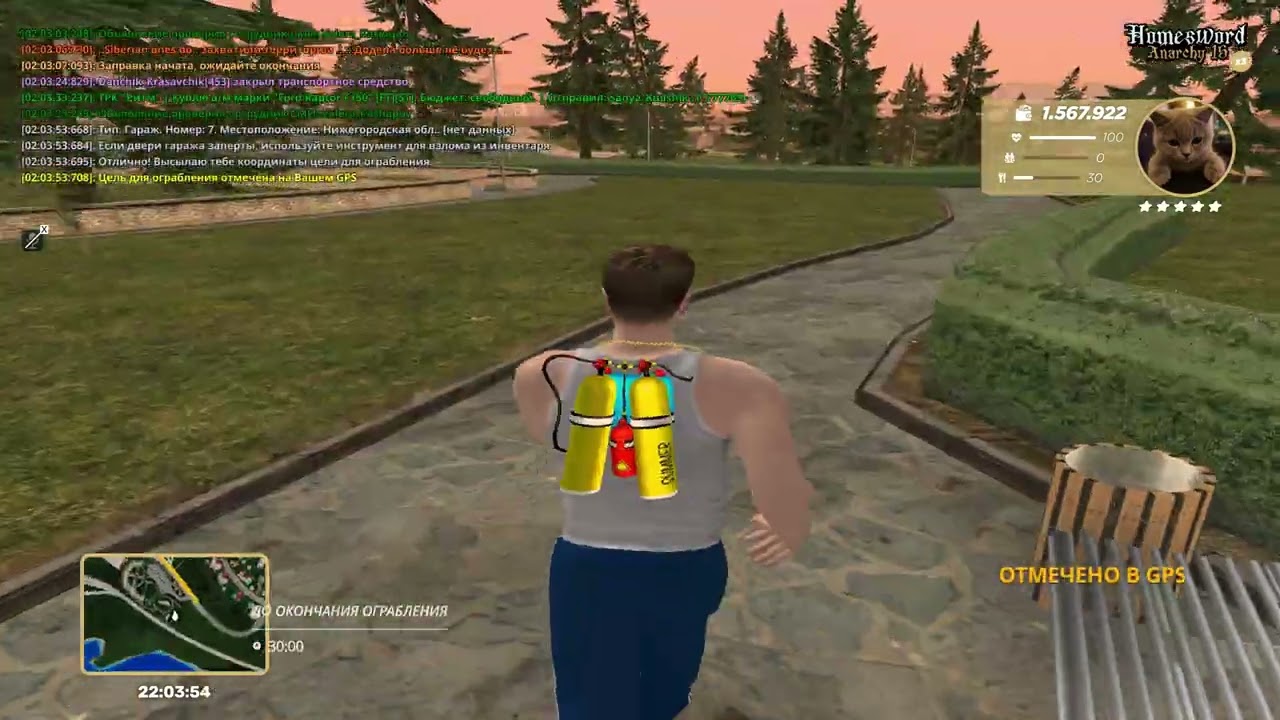 ОГРАБЛЕНИЕ ДОМА В GTA RADMIR RP