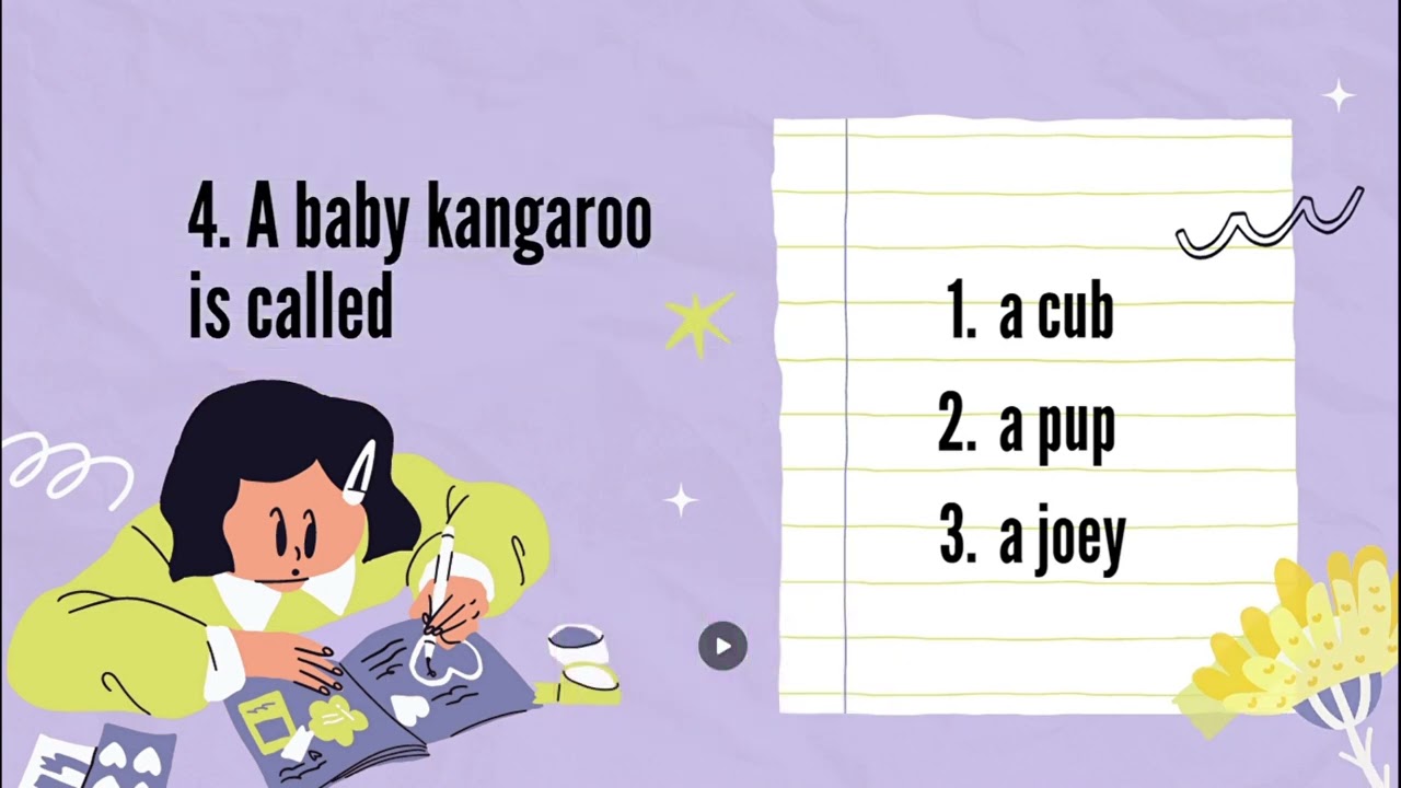 ANIMAL TERM QUIZ - WHAT IS IT? //VOCABULARY//GRAMMAR//IDIOMS// LEARN ENGLISH WITH ME!