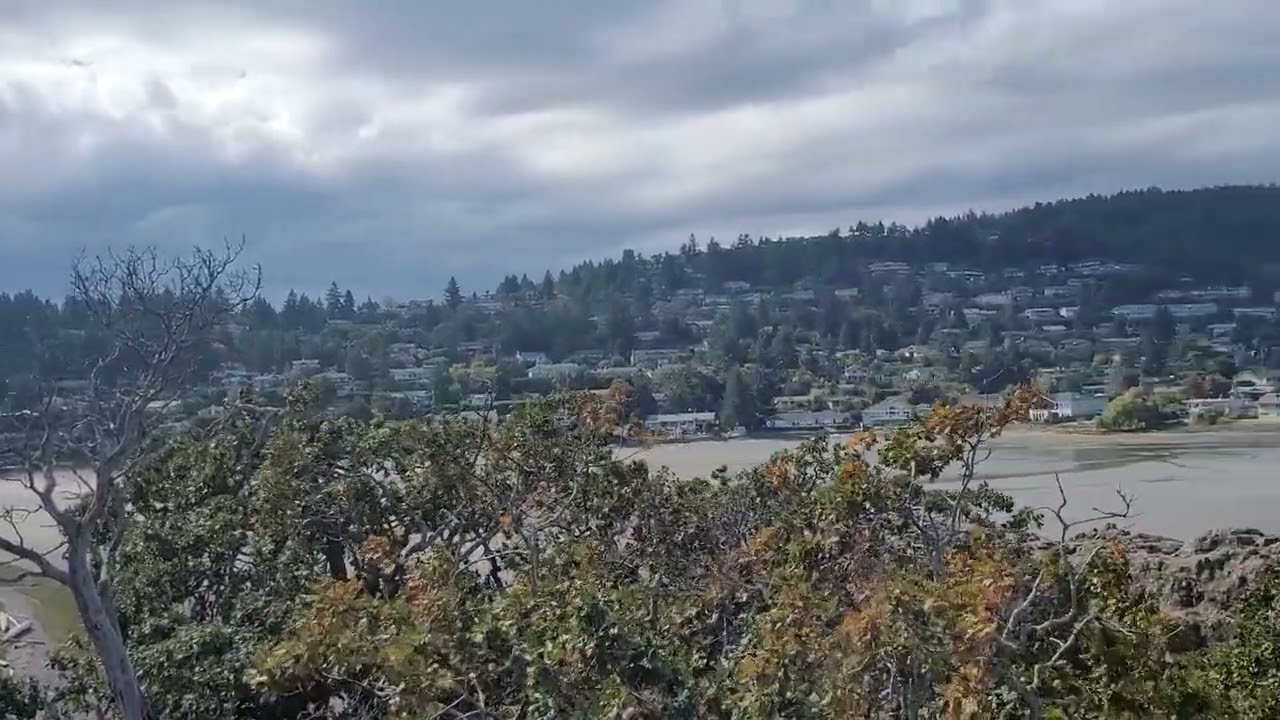 Nanaimo beach