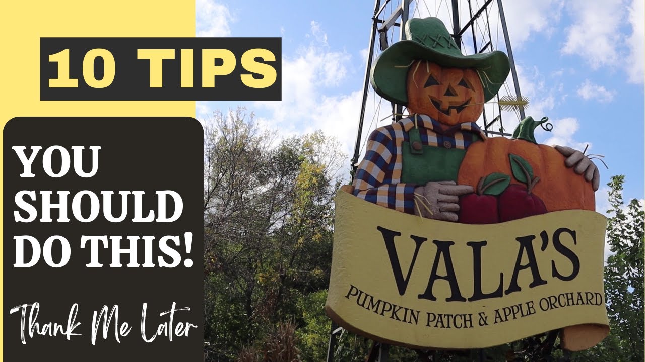 10 Great Tips When Visiting Vala's Pumpkin Patch!
