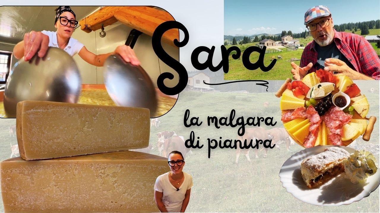 Sara, la malgara di pianura