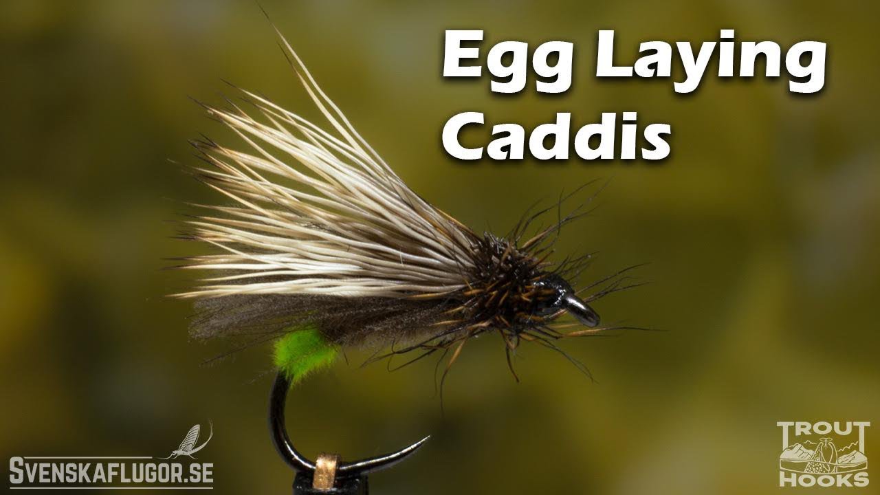 Egg Laying Caddis | Flugbindning | Svenskaflugor.se