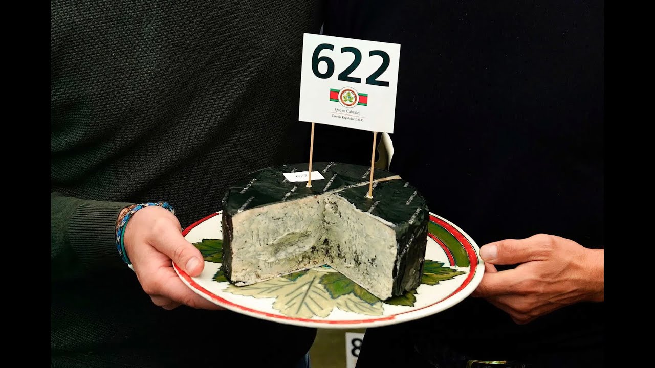 Queijo mais caro do mundo   agronews