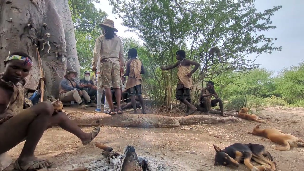 Hadzabé : Les Derniers Chasseurs 🏹
