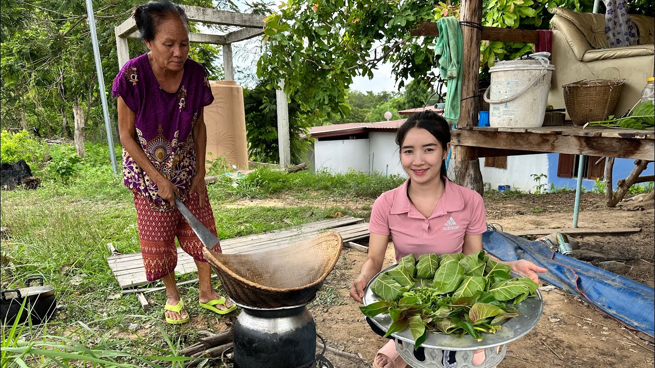 ใบส้มกบหมกหน่อ สูตรไทปากเชลาวใต้ มีใครรู้บ้างว่ากินได้ดีเริ่ดต่อสุขภาพอีกด้วยนะ🇱🇦