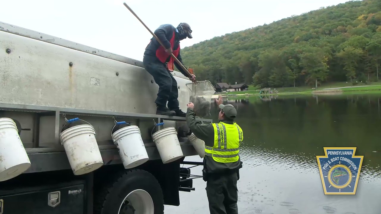 Fall Trout Stocking at Poe Valley State Park