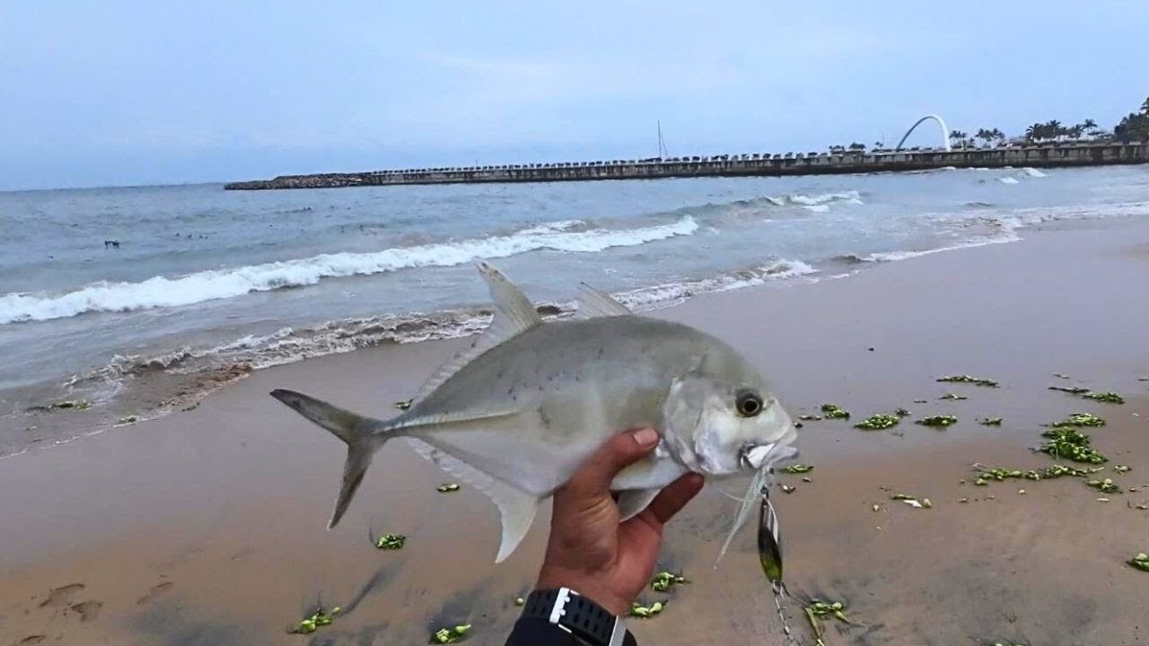 SURF CASTING AT THE BEACH FOR TREVALLY | FISHING IN SRI LANKA