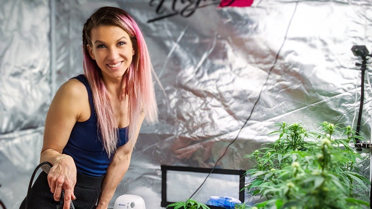 Sunday Funday! LIVE with Highigan! Bong Rips, Tent Update, Auto Talk!