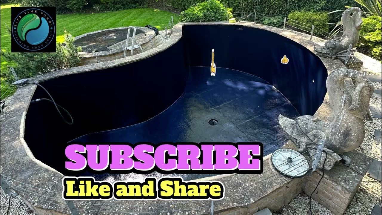 Koi Garden pond transformation
