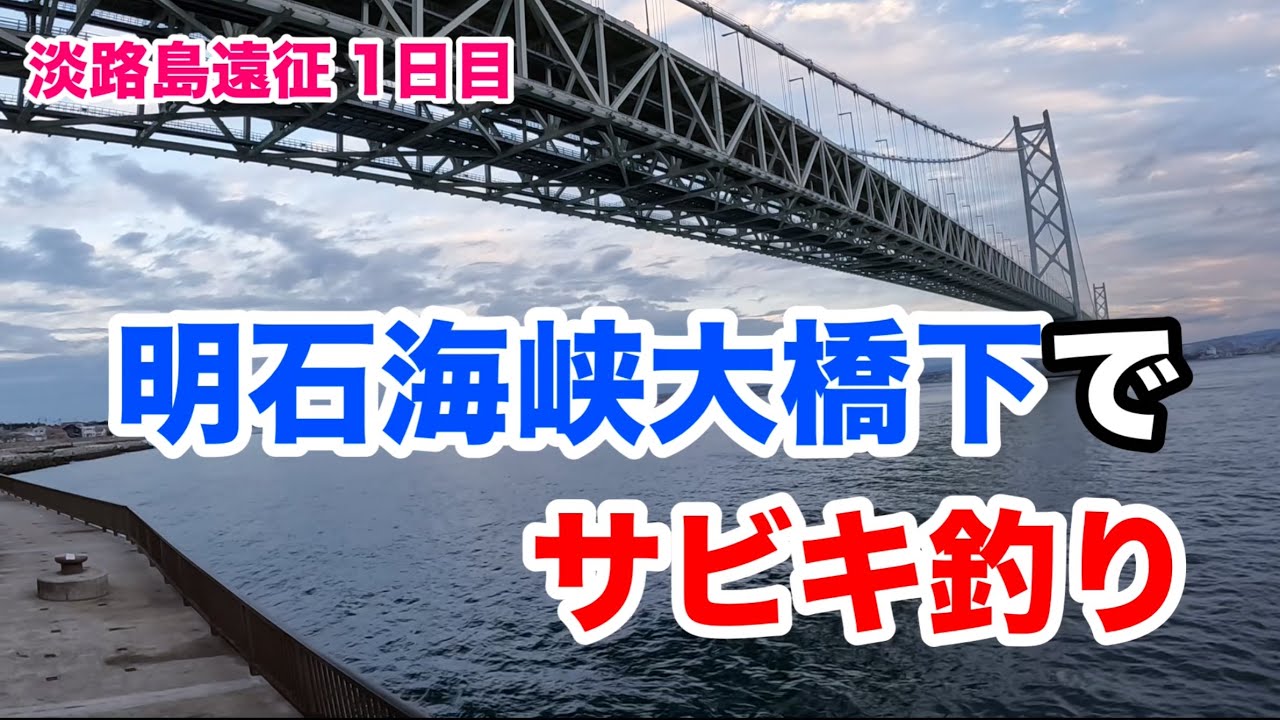 【淡路島遠征1日目】明石海峡大橋下でサビキ釣り