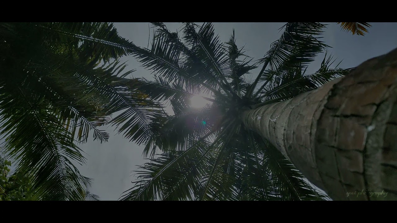 tenkasi life | cinematic video | nature | humming music | photography | life | love | travel