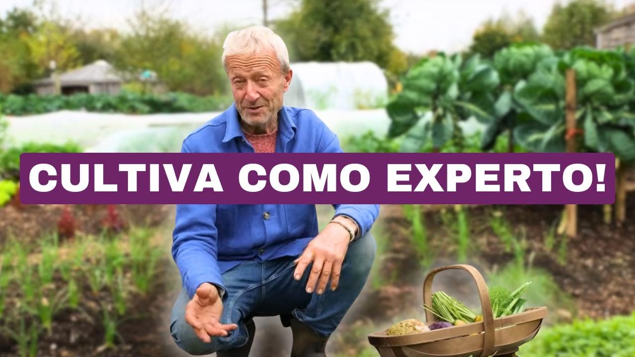 13 Cultivos Para Plantar Ahora Para una Buena Cosecha