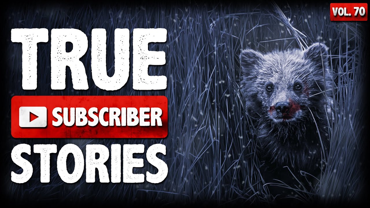 I WAS LOST IN ALASKAN WOODS | 10 True Scary Subscriber Horror Stories (Vol. 70)