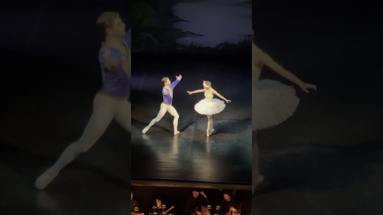 Принц Зигфрид и Одетта #swanlake #лебединоеозеро #ballet #балет #чайковский #tchaikovsky #dance