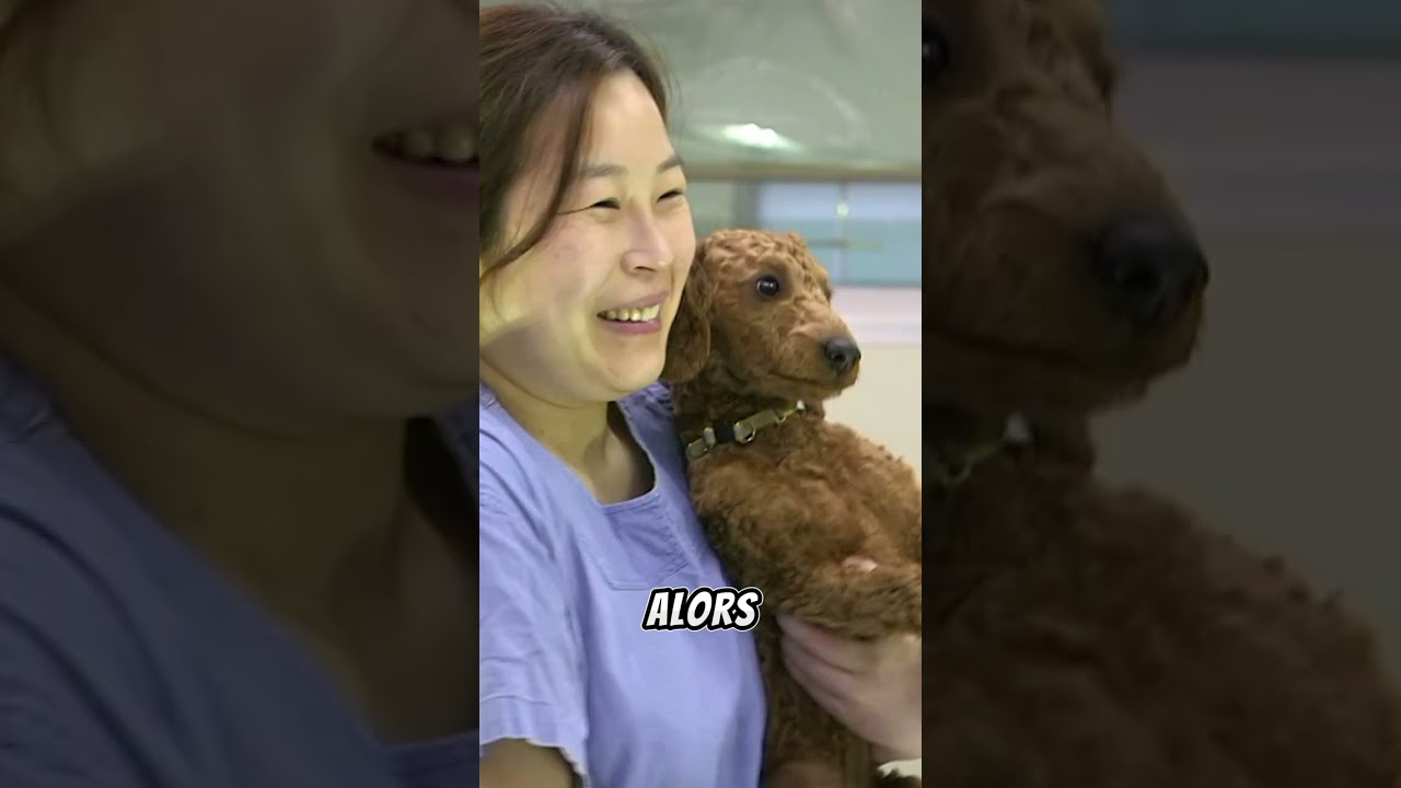 80 000 Euros pour cloner ton chien !