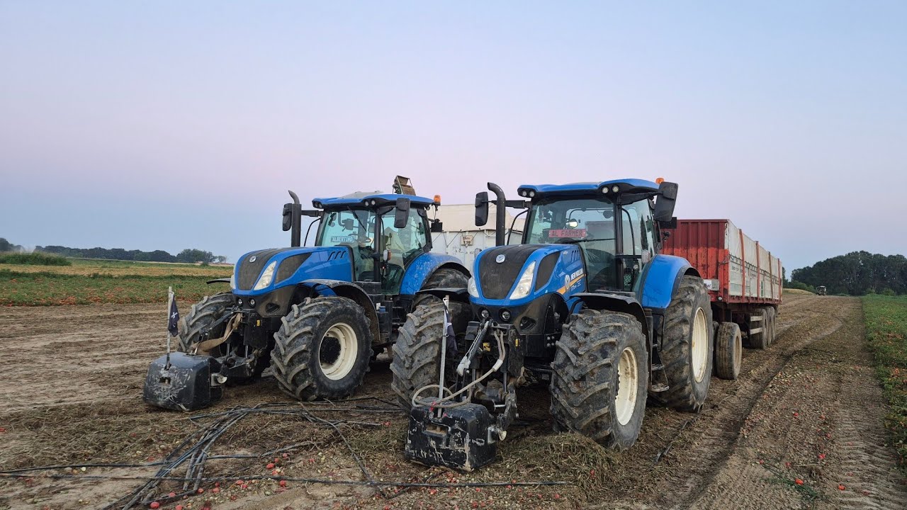 [POV] VITA DA PAISAN #1 | RACCOLTA POMODORI | NEW HOLLAND T7.270 | MTS SANDEI