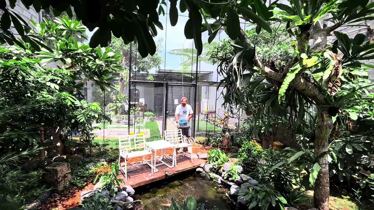 NGASIH MAKAN BURUNG DI AVIARY #aviarybirds #aviaryindonesia #aviarymini 