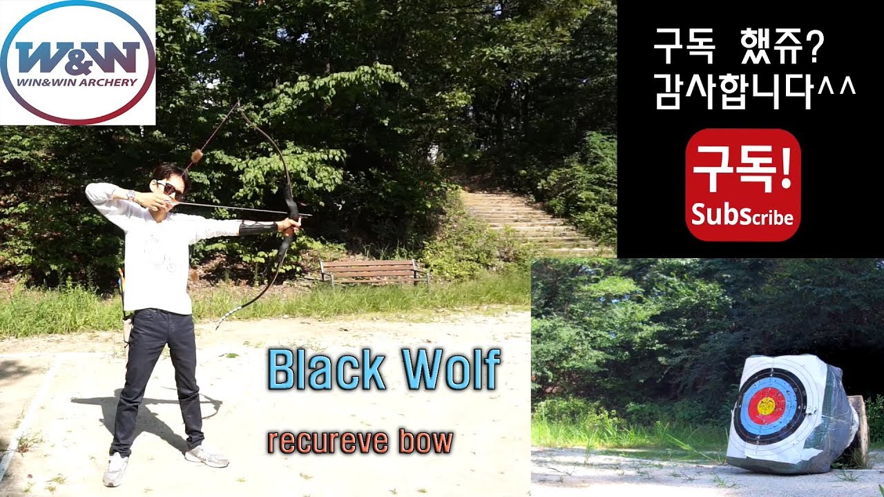 🏹2편🏹 세계최강 대한민국 양궁 국가대표들이 선택한 메이커.실제사격.리뷰.윈앤윈.블랙울프 win and  win black wolf