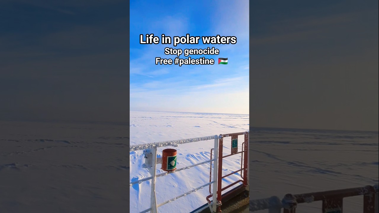 life in polar waters On icebreaker | stop genocide Free #palestine 🇵🇸