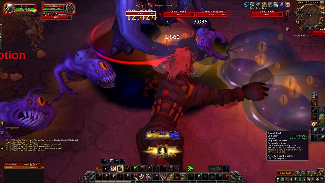 World of Warcraft Vision 3 Mask Run Feral Druid SW