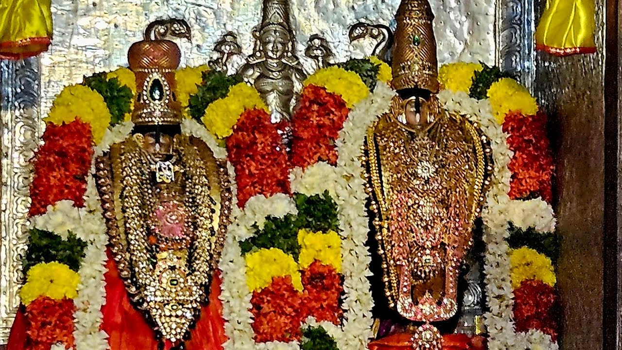 Vanamamalai Kanu Uthsavam. Thayar Perumal gracing Vanamamalai Mutt. Ponnadikkal Jeeyar receiving.