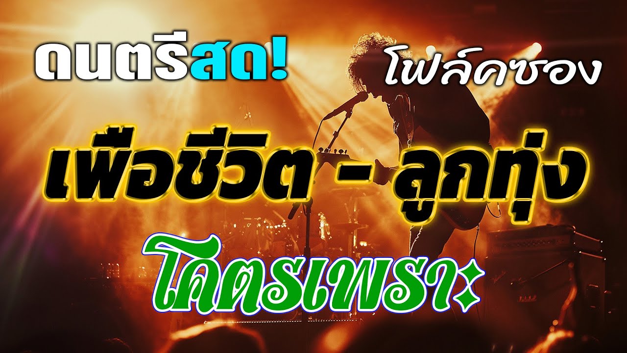 ดนตรีสดร้านเหล้า คัดเพลงเพื่อชีวิต-ลูกทุ่งโคตรเพราะ เปิดฟังทำงาน เปิดฟังขับรถชิวๆ