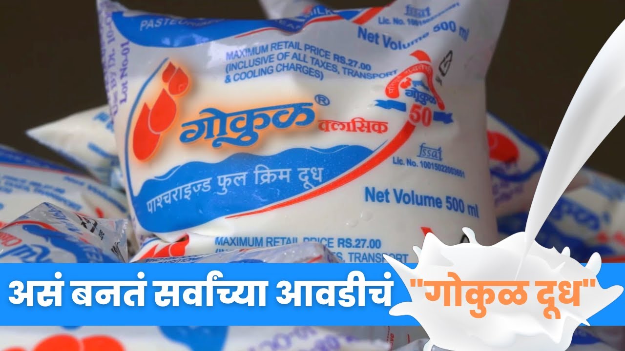 गोकुळ दूध आणि दुग्धोत्पादने !! असं बनतं सर्वांच्या आवडीचं  