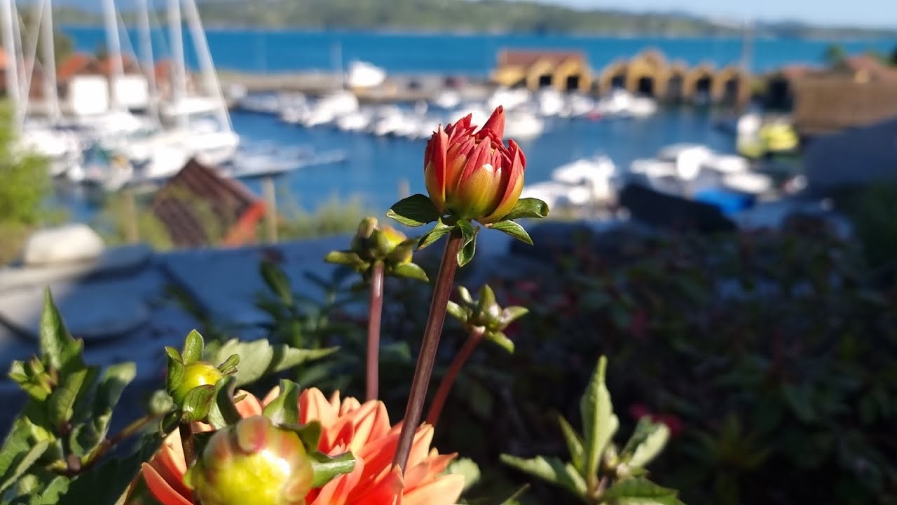 LOVE THE ISLAND SUMMER ( June 4.- 8. 2023)