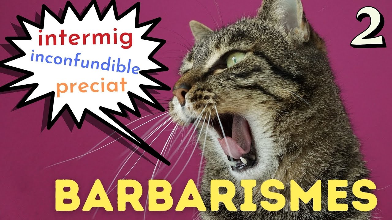 ❓ Barbarismes en català #2 | Adjectius | 