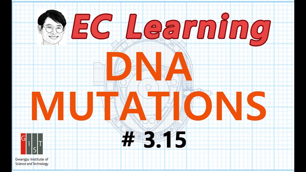 3.15 Molecular principles: DNA mutations