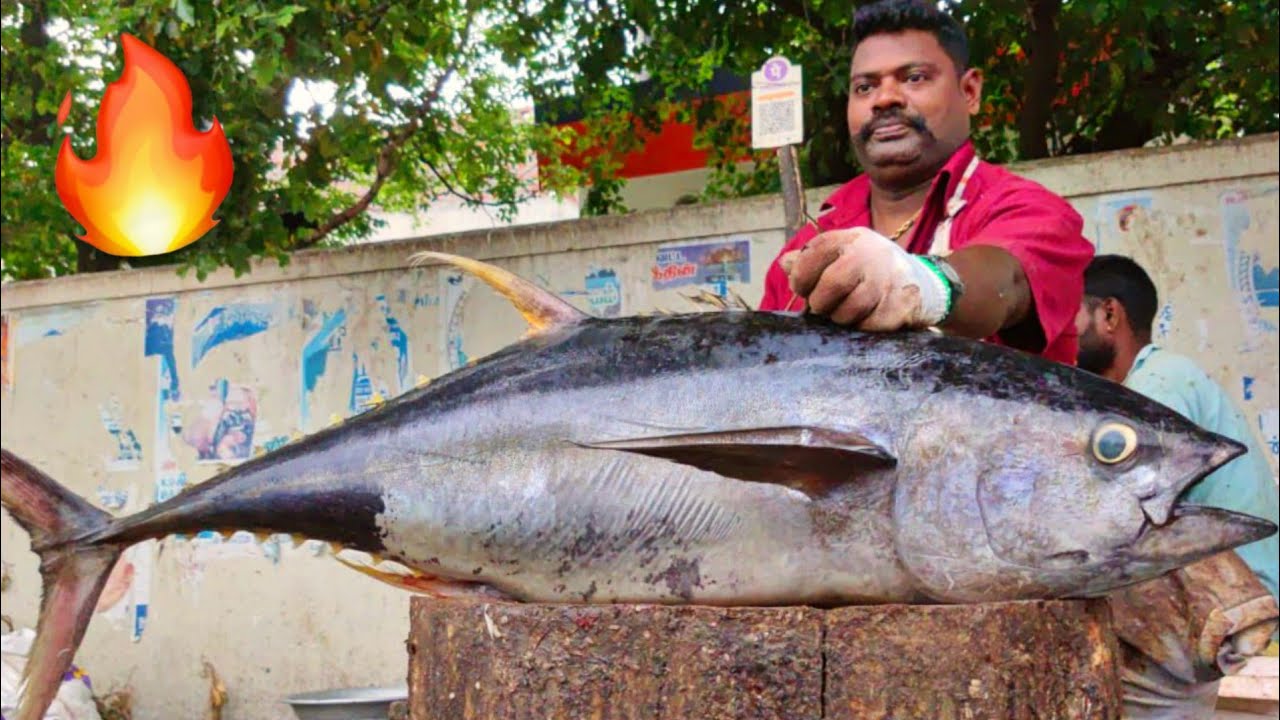 88 kg MONSTER YELLOW FIN TUNA🔥| KASIMEDU SELVAM FISH CUTTING | KASIMEDU | CKFC