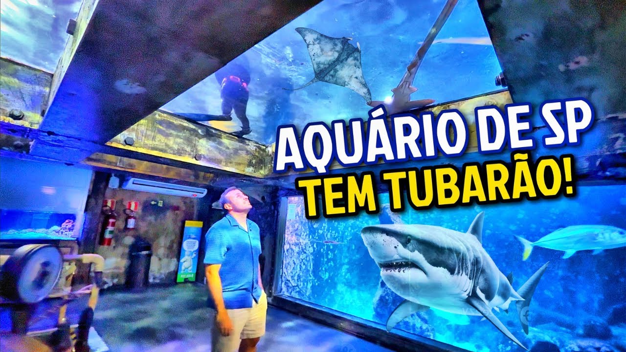 O QUE FAZER EM SP: AQUÁRIO DE SÃO PAULO | Preços e dicas