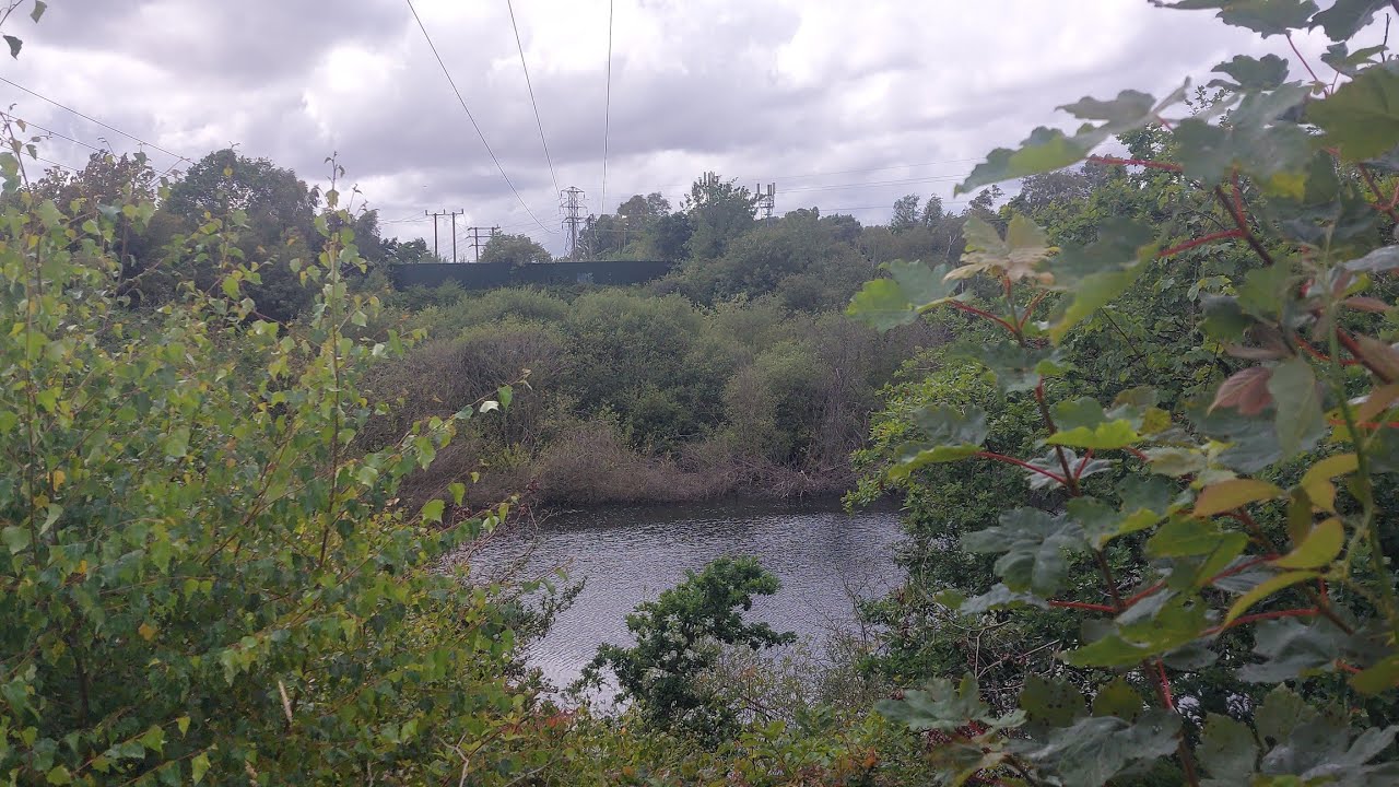 Telford T50 50 Mile Trail