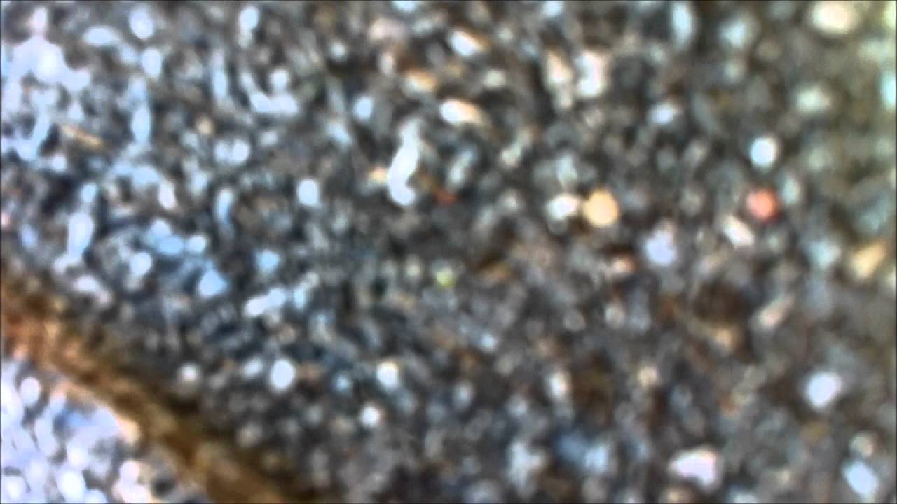 HUMANE SQUIRREL REMOVAL