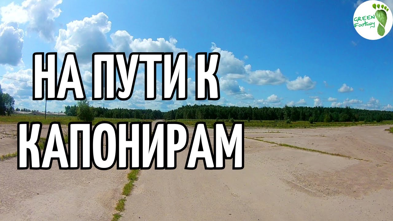 Быховский аэродром. На пути к капонирам.
