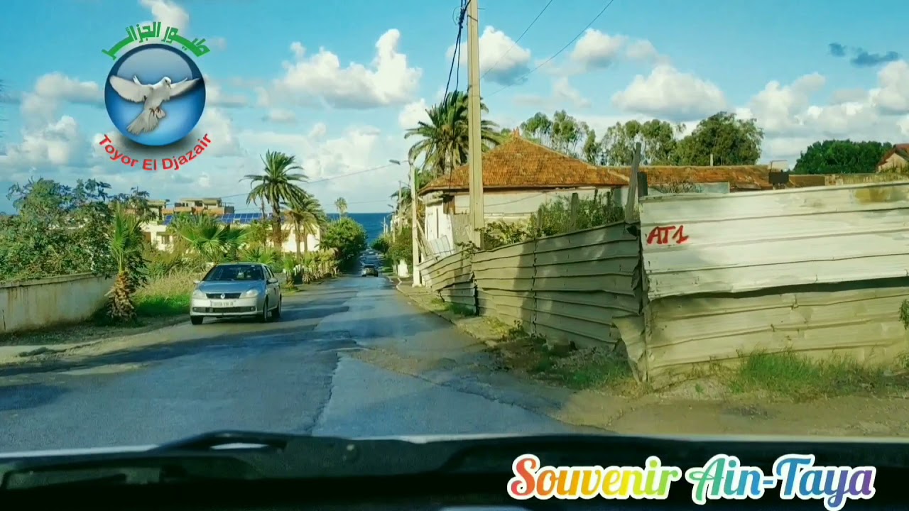 TOYOR EL DJAZAIR ARTISTE Souvenir Ain-Taya
